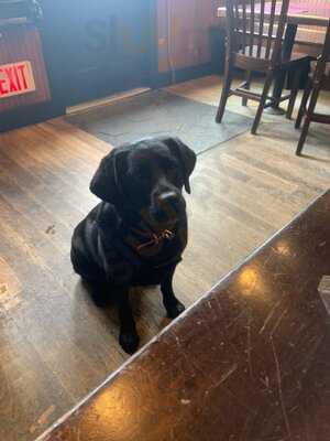 The Narragansett Cafe