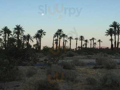 The Arches At Borrego Springs Resort