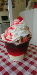 Tj's Homemade Ice Cream