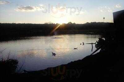 Foto 14399264