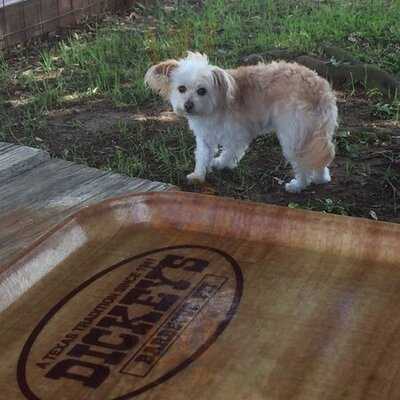 Dickey's Barbecue Pit