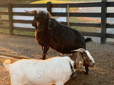 Yoder's Country Market