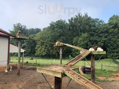 Yoder's Country Market