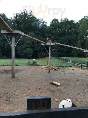 Yoder's Country Market