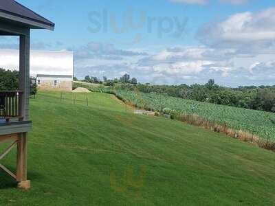 Vino Over The Valley