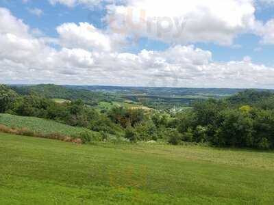 Vino Over The Valley