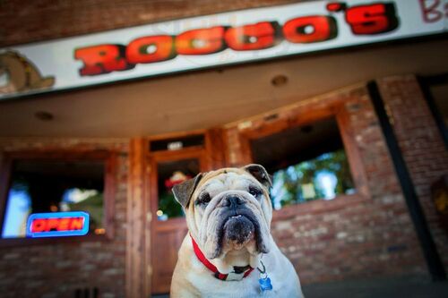 Rocco's Bar And Grill