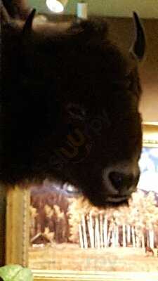 Flying Saddle Resort & Steak House