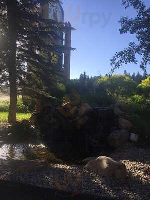 Flying Saddle Resort & Steak House