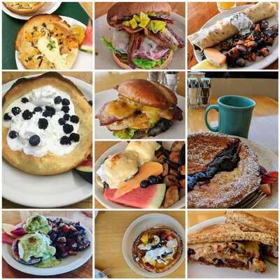 Black And White Dog Cafe