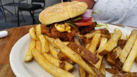 Crestone Brewing Company