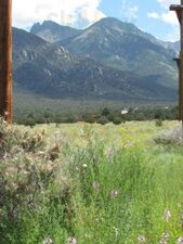 Desert Sage Restaurant