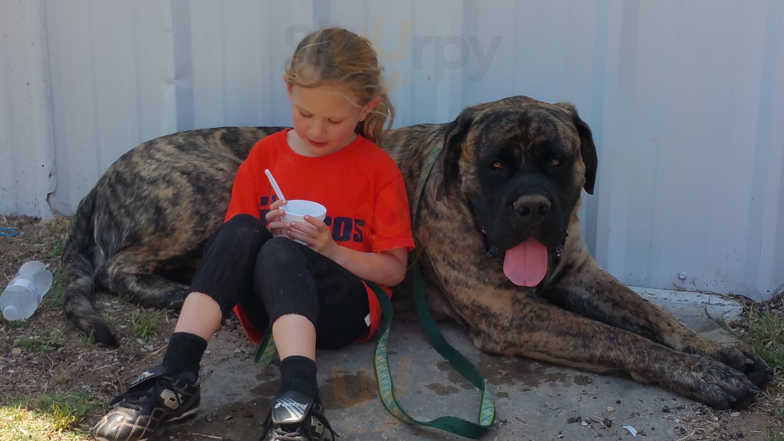 Clarendon Outpost Diner