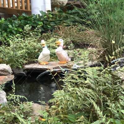 Lolas Farmhouse Bistro