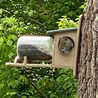 Foot Of The Mountain Restaurant