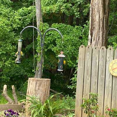 Foot Of The Mountain Restaurant