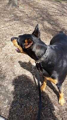 Foto 43857517