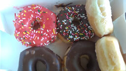 Muleshoe Donut