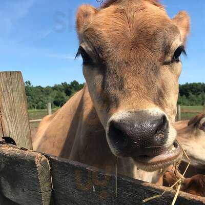 Fish Family Farm Dairy And Ice Cream