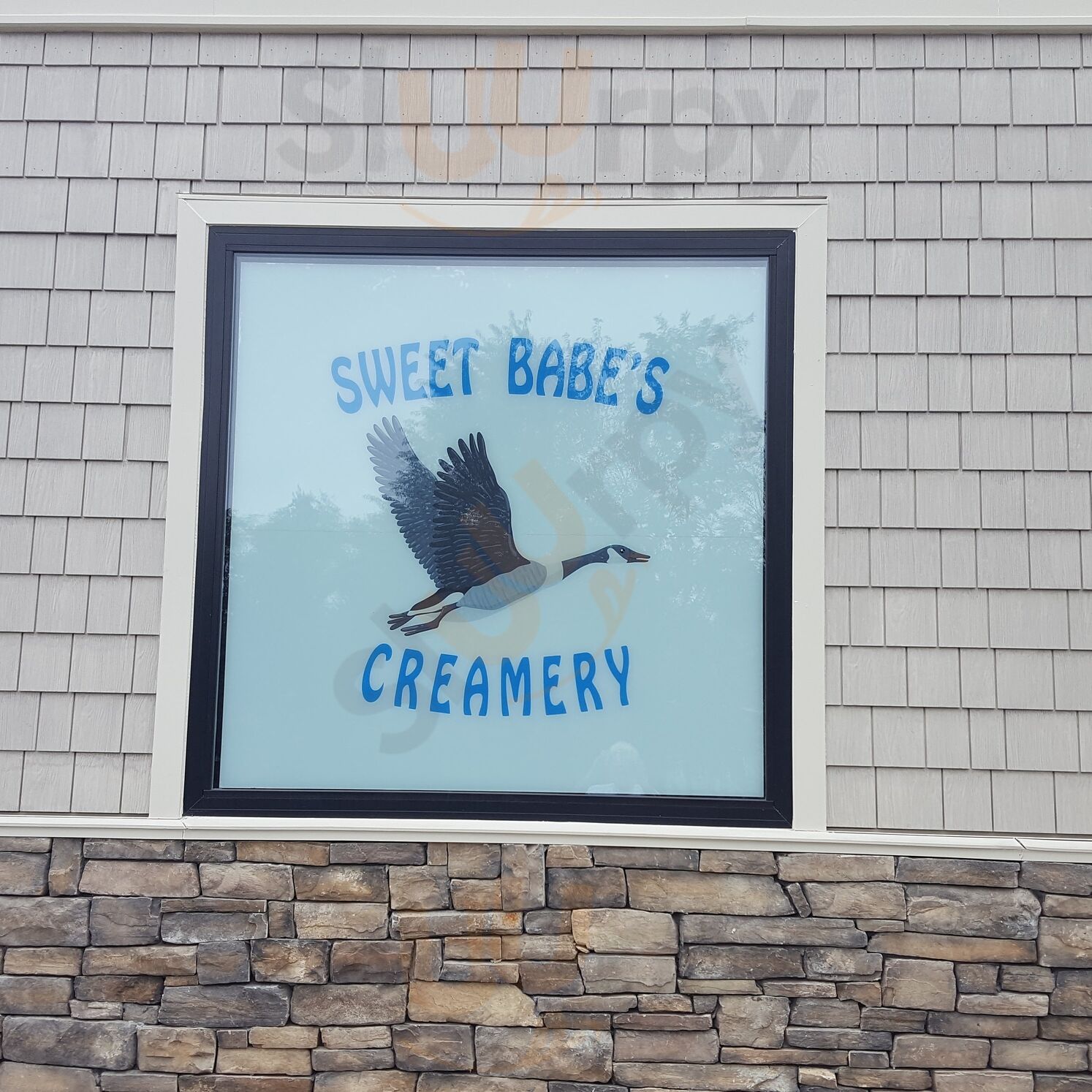 Sweet Babe's Creamery