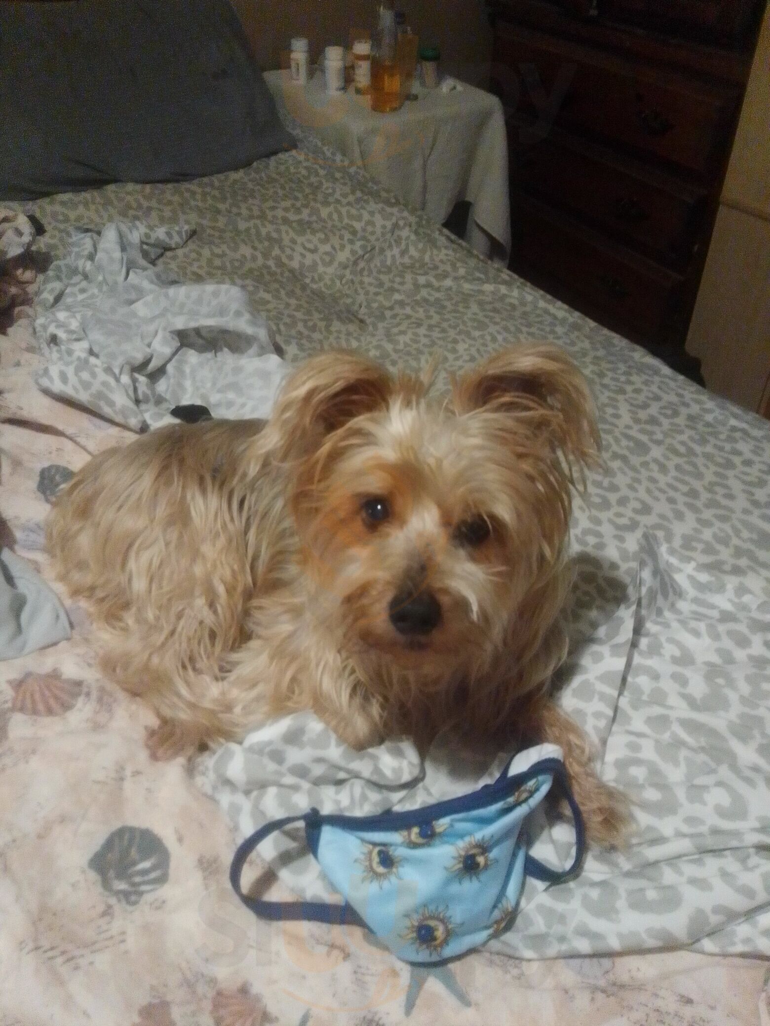 Stanford Inn Cafe & Bar