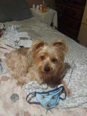 Stanford Inn Cafe & Bar