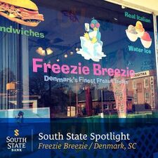 Freezie Breezie