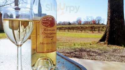 Morris Vineyard And Tennessee Mountainview Winery