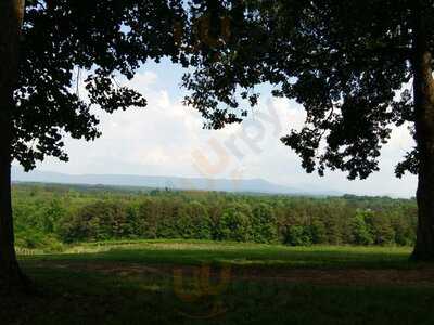 Morris Vineyard And Tennessee Mountainview Winery