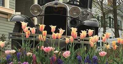 Uniquely Yours Tea Room