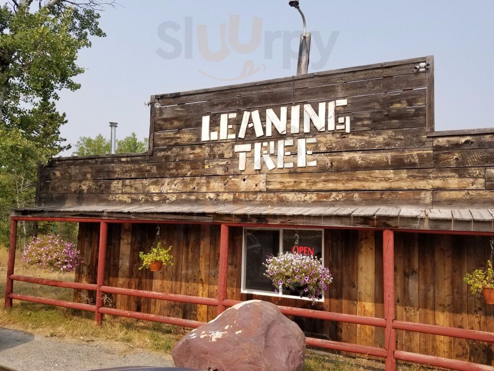 Leaning Tree Cafe And Campground