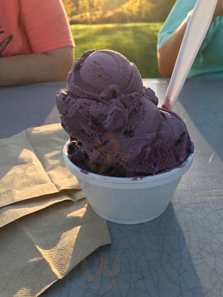 Fielder's Choice Ice Cream