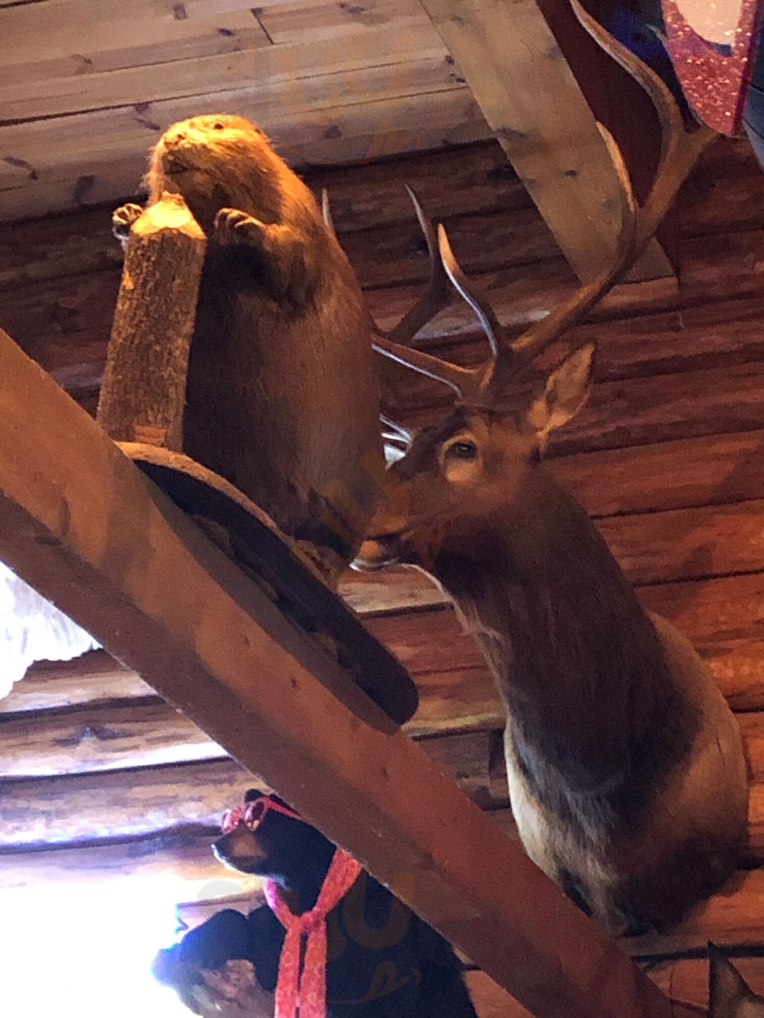 Sportsmen's Lounge And Supper Club