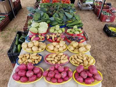 Lakeside Supper Club