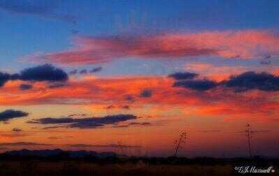 Ricardo's Restaurant & Lounge