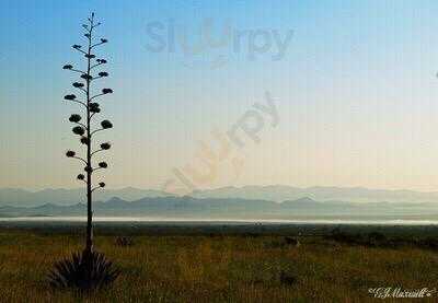 Ricardo's Restaurant & Lounge