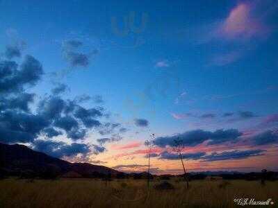 Ricardo's Restaurant & Lounge