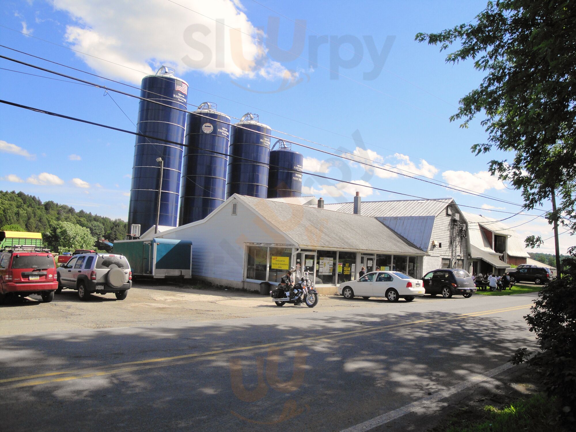 Manning's Ice Cream & Milk