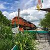 Mama Loca's Cafe And Cantina