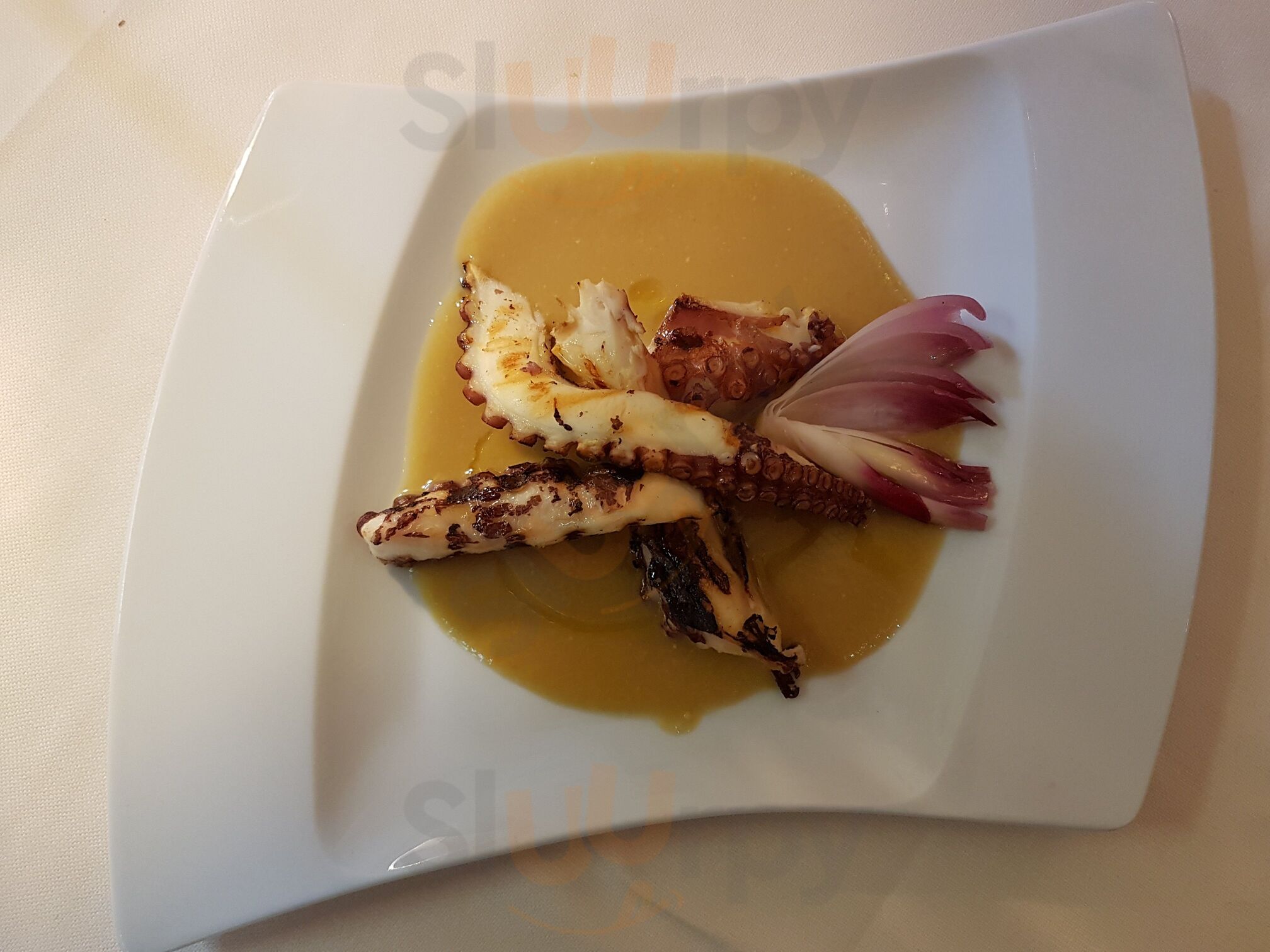 Belluccio's
