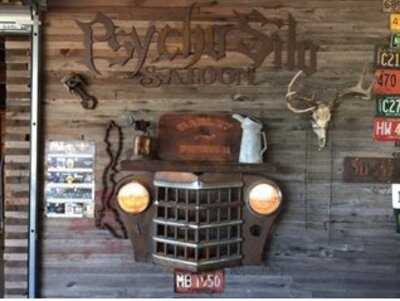 Psycho Silo Saloon