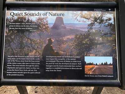 Devils Tower View