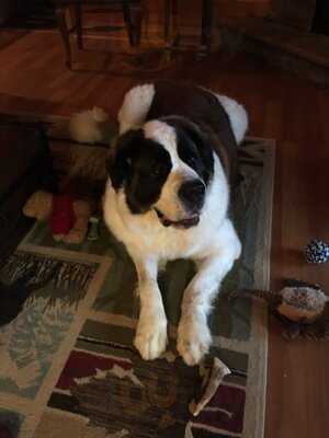 Main Street Ristorante