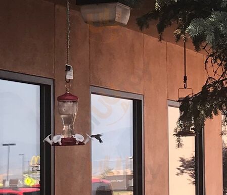 Sopaipilla Factory Restaurant