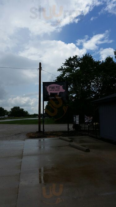 The Pink Pig