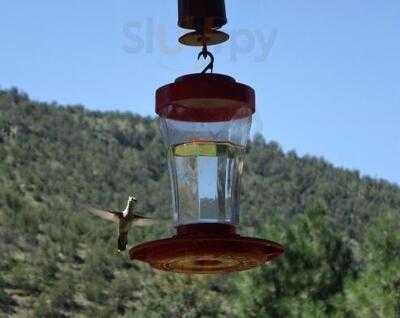 Annie's Little Sure Shot Mobile Espresso House