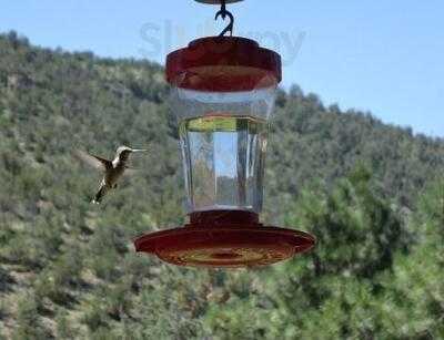 Annie's Little Sure Shot Mobile Espresso House