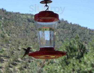 Annie's Little Sure Shot Mobile Espresso House