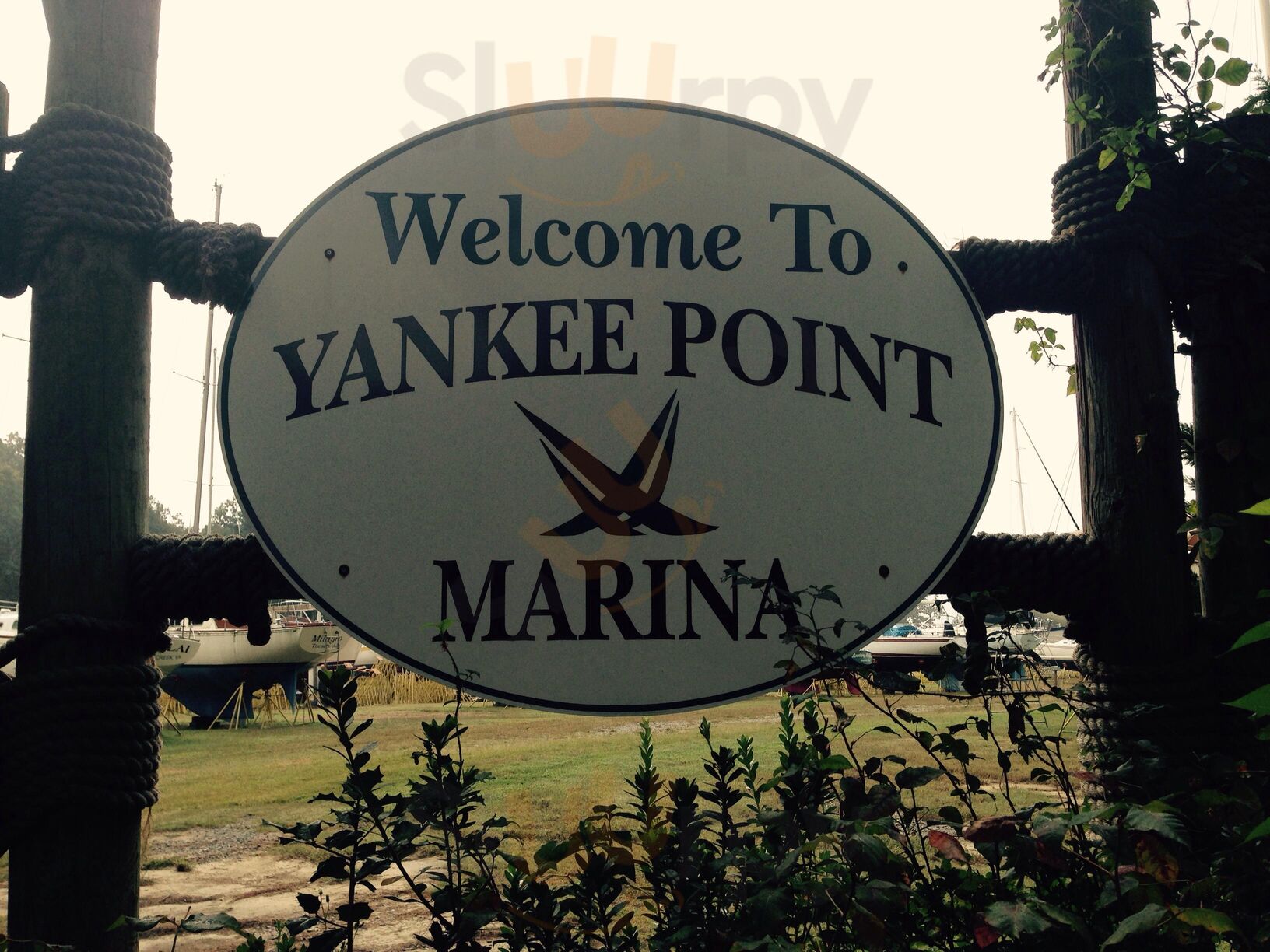 Windows On The Water