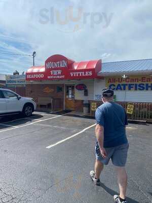 Mountain View Restaurant